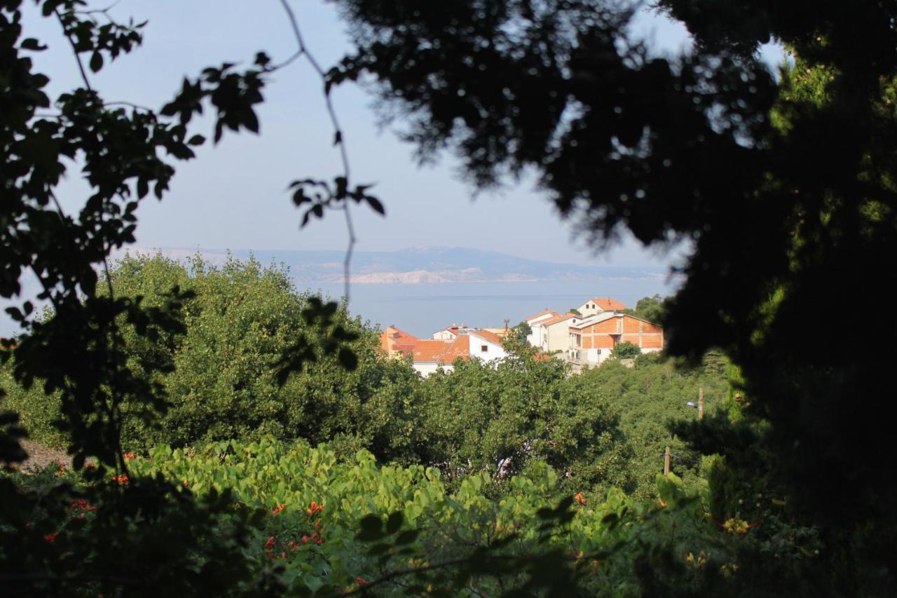 Apartments And Rooms With Parking Space Klenovica, Novi Vinodolski - 5590 Dış mekan fotoğraf